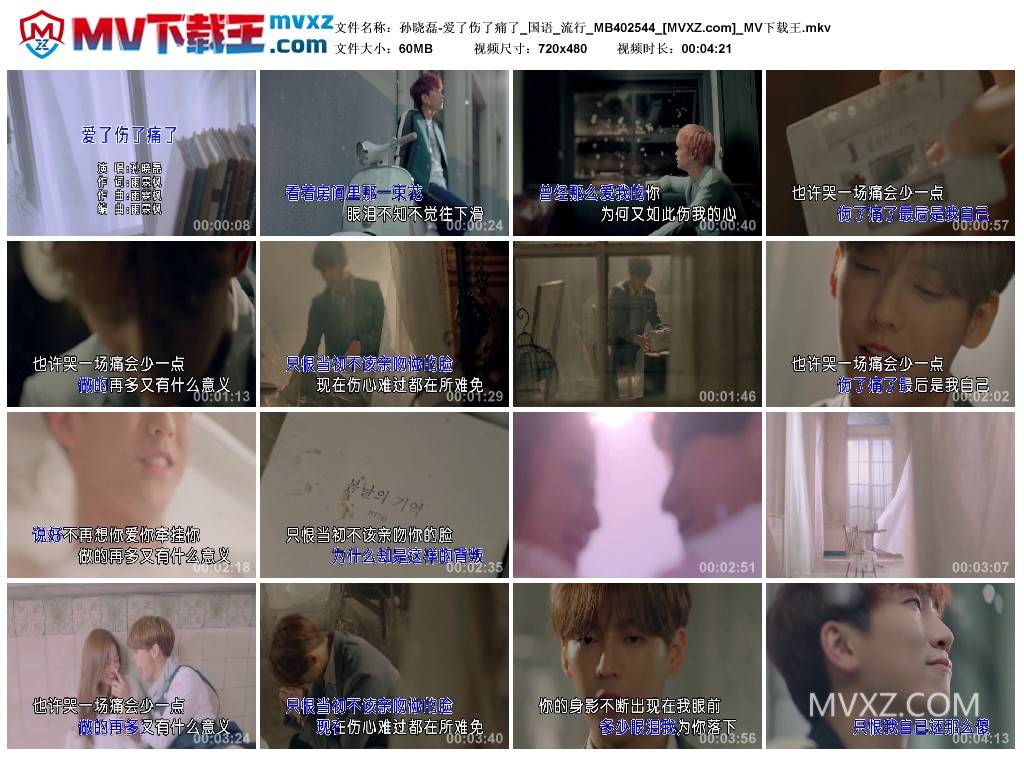 孙晓磊-爱了伤了痛了_国语_流行_MB402544